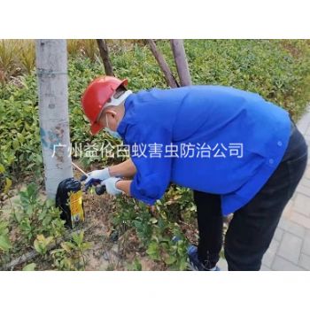 石樓鎮(zhèn)海鷗島公園滅治白蟻