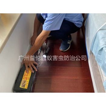 橋南路小區(qū)治白蟻