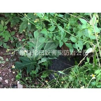 洛浦上門驅(qū)蛇防蛇