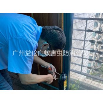 番禺大龍小區(qū)白蟻消殺