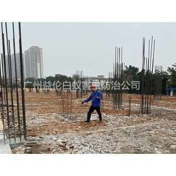 沙頭新建工程預(yù)防白蟻
