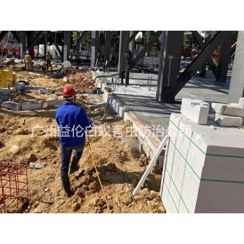 大龍新建房屋白蟻預(yù)防