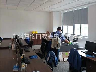 沙頭室內(nèi)消殺蚊蟲工程