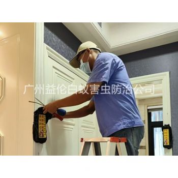 市橋住宅白蟻防治工程