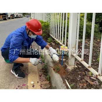 大石紅火蟻防治工程