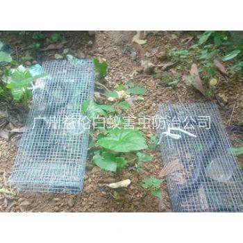 番禺上門驅(qū)蛇防蛇工程