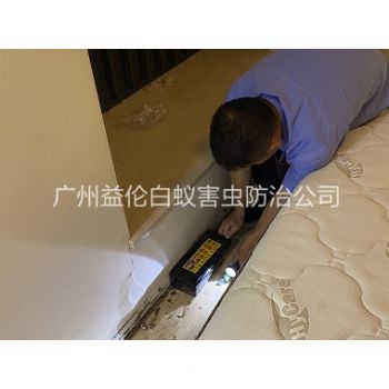新造家居白蟻滅治工程