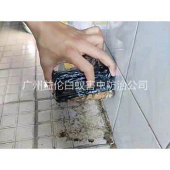 石碁誘殺白蟻危害工程