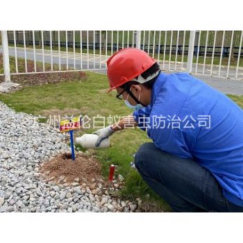 小谷圍紅火蟻防治工程
