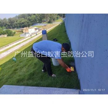 番禺堤壩鼠害防治工程