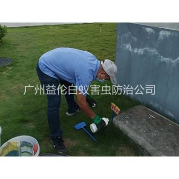 新造滅除紅火蟻工程