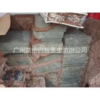 石壁防治白蟻危害工程